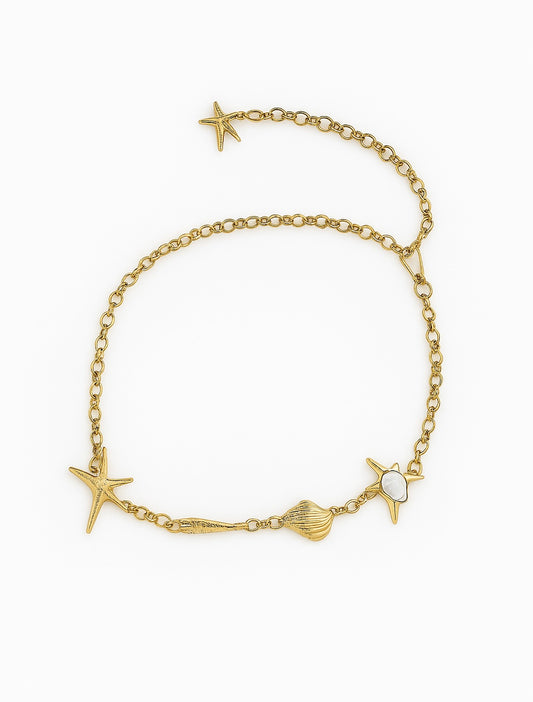Coastal Chain Belt