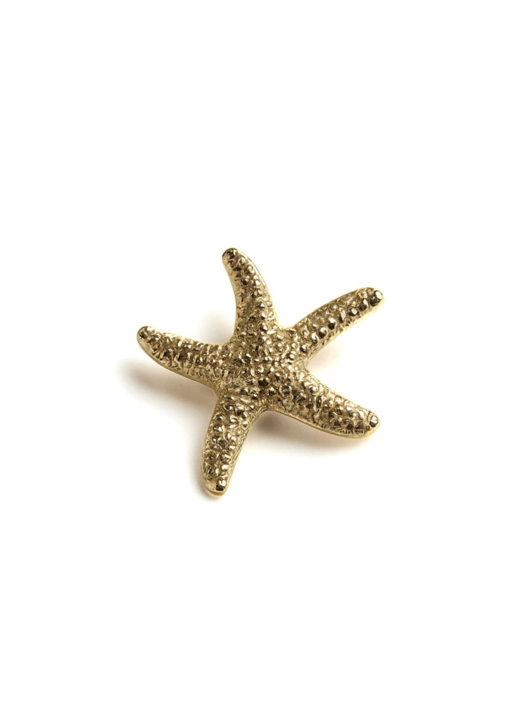 Starfish Broche